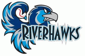 Rockford Riverhawks iron ons